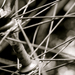 Spokes_square