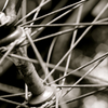 Spokes_thumb