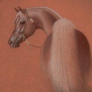 Img018_card
