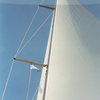Scan0007_thumb