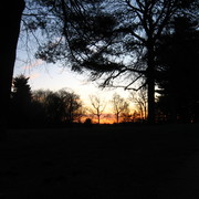 Img_1215_card