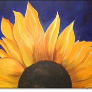 Sunflower1_big_card