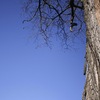 _mg_2326_thumb