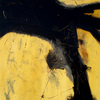 Transgression_2009_46x40x1