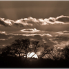 Img_0332_thumb