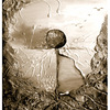 Celebration_sepia_thumb