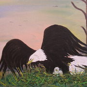 Eagles_babies_card