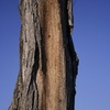 _mg_2321_thumb