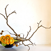 Ikebana-103_card