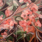 Magic_cherry_blossom_semi_2_card