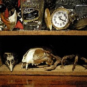 Skull_case_7_edited-2_card