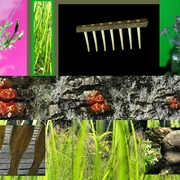 Pictures_bunch_00_card