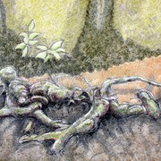 Twisted_roots_card