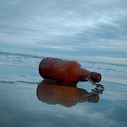 Picture_1445_card