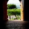 A_monday_morning_in_barichara_9_thumb
