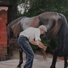 Head_lad_at_palace_house_stables_newmarket_thumb