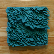 Nhoffman_01_card