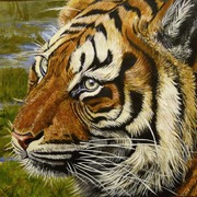 Artbreakstiger_portrait_card