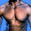 Cuerpo1_thumb