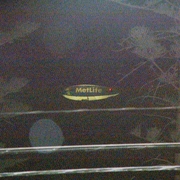 Niteblimp22_card