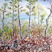 Pine_bush_card