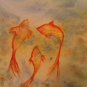 Dsc02500_card