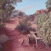 Autumn_trail-blackburn_card