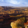 Red_canyons_painting-blackburn_thumb