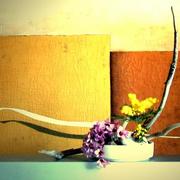 Aut_9957_card