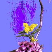 Aut_9951_card