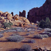 Park_avenue-blackburn_card