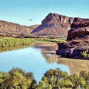 Soaring_the_colorado-blackburn_card