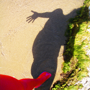 Shadow_dance_not_alone_card
