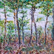 The_pine_bush_2_card