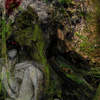 Forrest-ghost_thumb