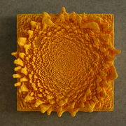 Nhoffman_15_card
