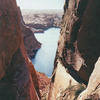 Canyon_jewel-blackburn_thumb