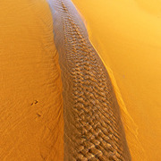 Desert_card