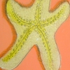 Estrella_de_mar_thumb