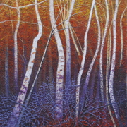 Birch_wood_card