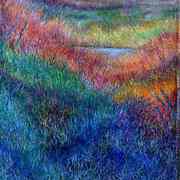 The_frog_pond_a_80_card