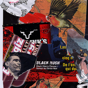 Bullgizlgsh_card