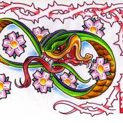 Img094_card