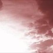 Eye_view_card