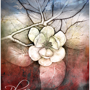 Blossom_by_lovelycristina_card