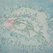 005_card