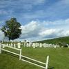 Cemetery_drivebylr_thumb