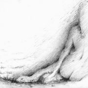 Img048web_card