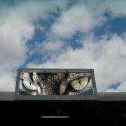 Otsign_card