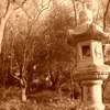 Dscn2125_thumb